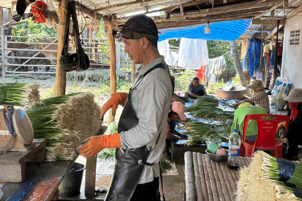 In Thailand’s rural heartland, former Thaksin loyalists count cost of nation’s ‘lost decades’