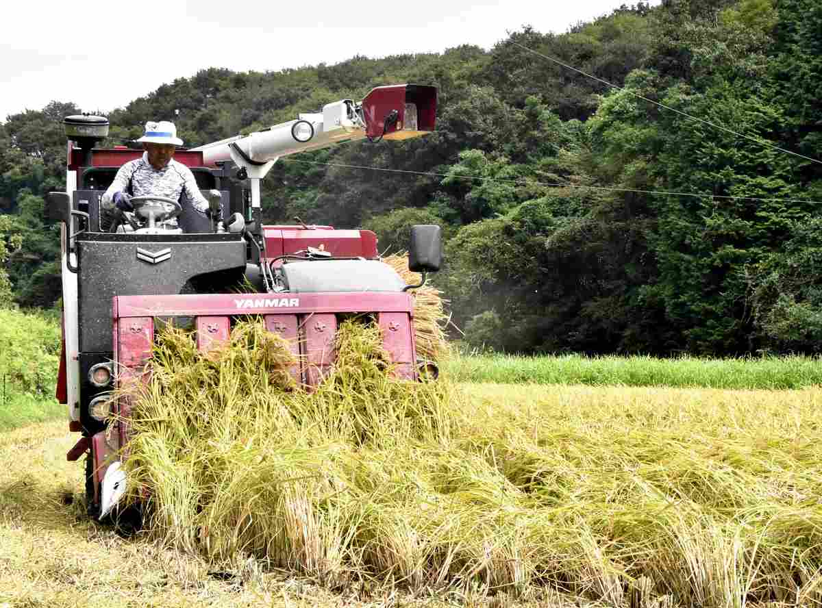 New tech used to boost Japan's rice yields, but retail prices still higher