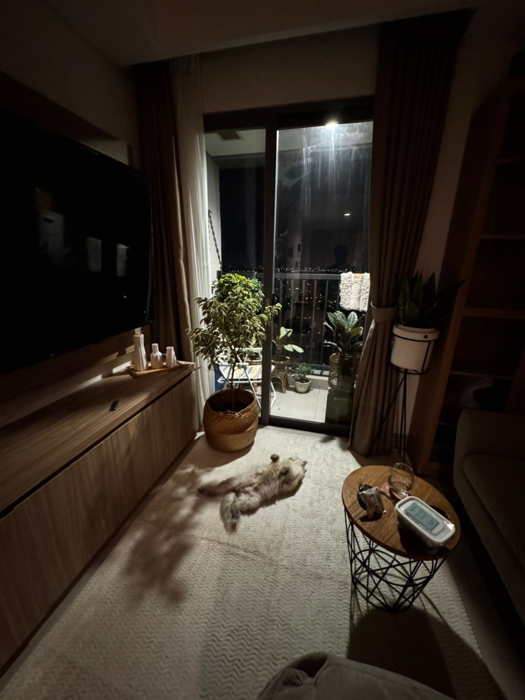 Finding room for fur and paws in Jakarta’s high-rises