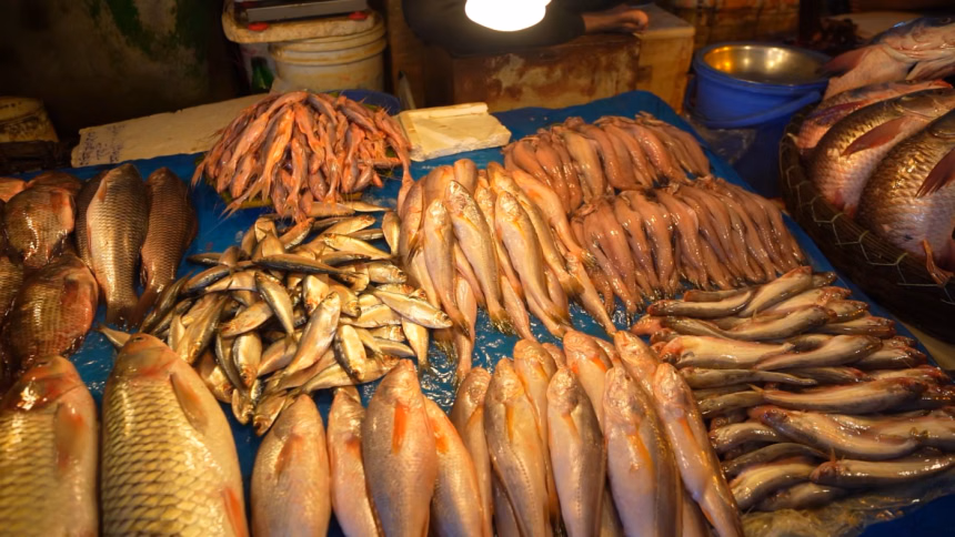 A millennial’s guide to buying fish in Dhaka