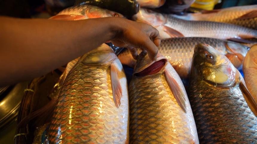A millennial’s guide to buying fish in Dhaka