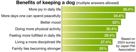 Japan’s shelter dogs bring energy to middle-aged life