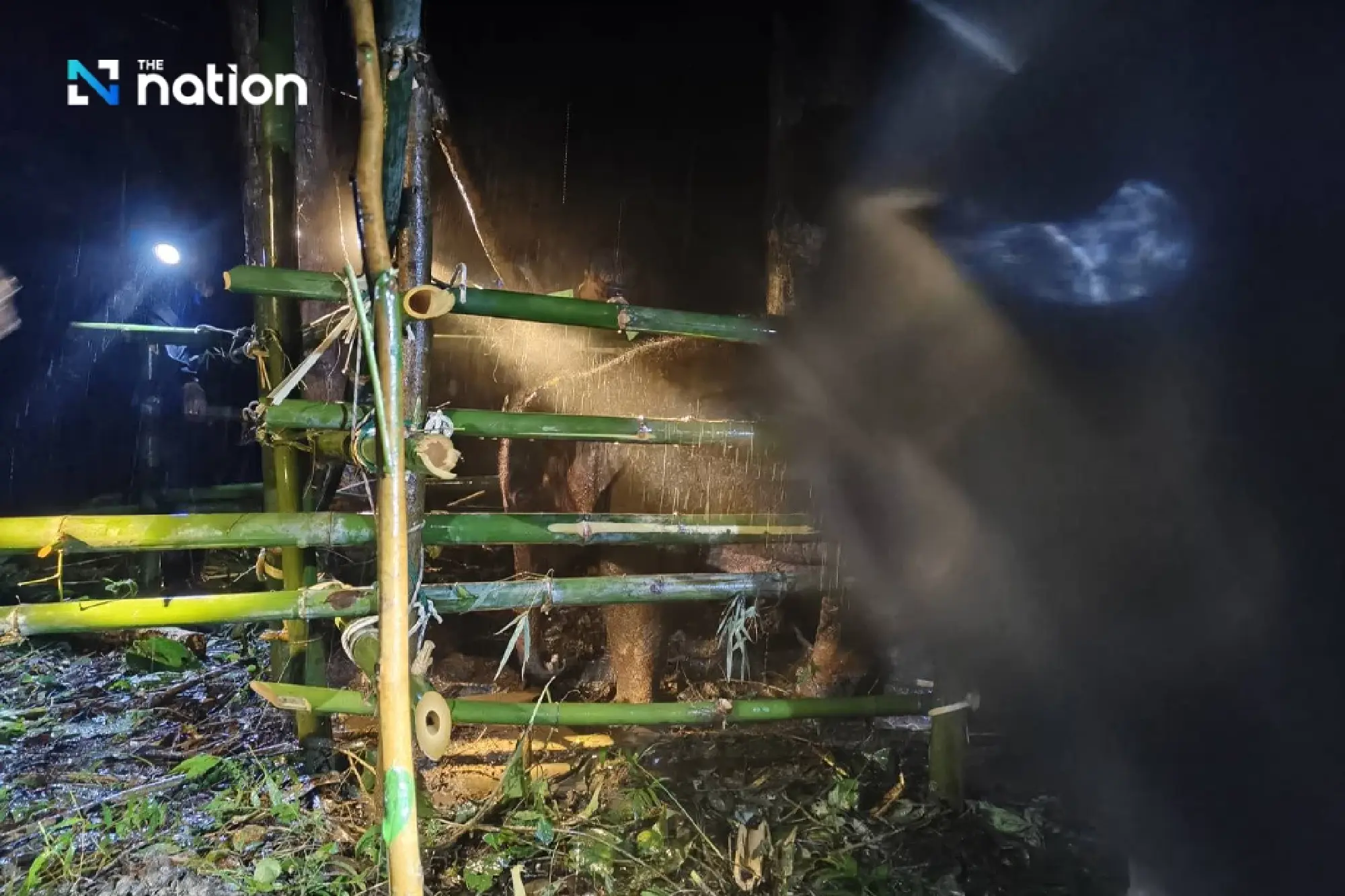 Lost baby elephant in Thai sanctuary rescued safely after five-day search