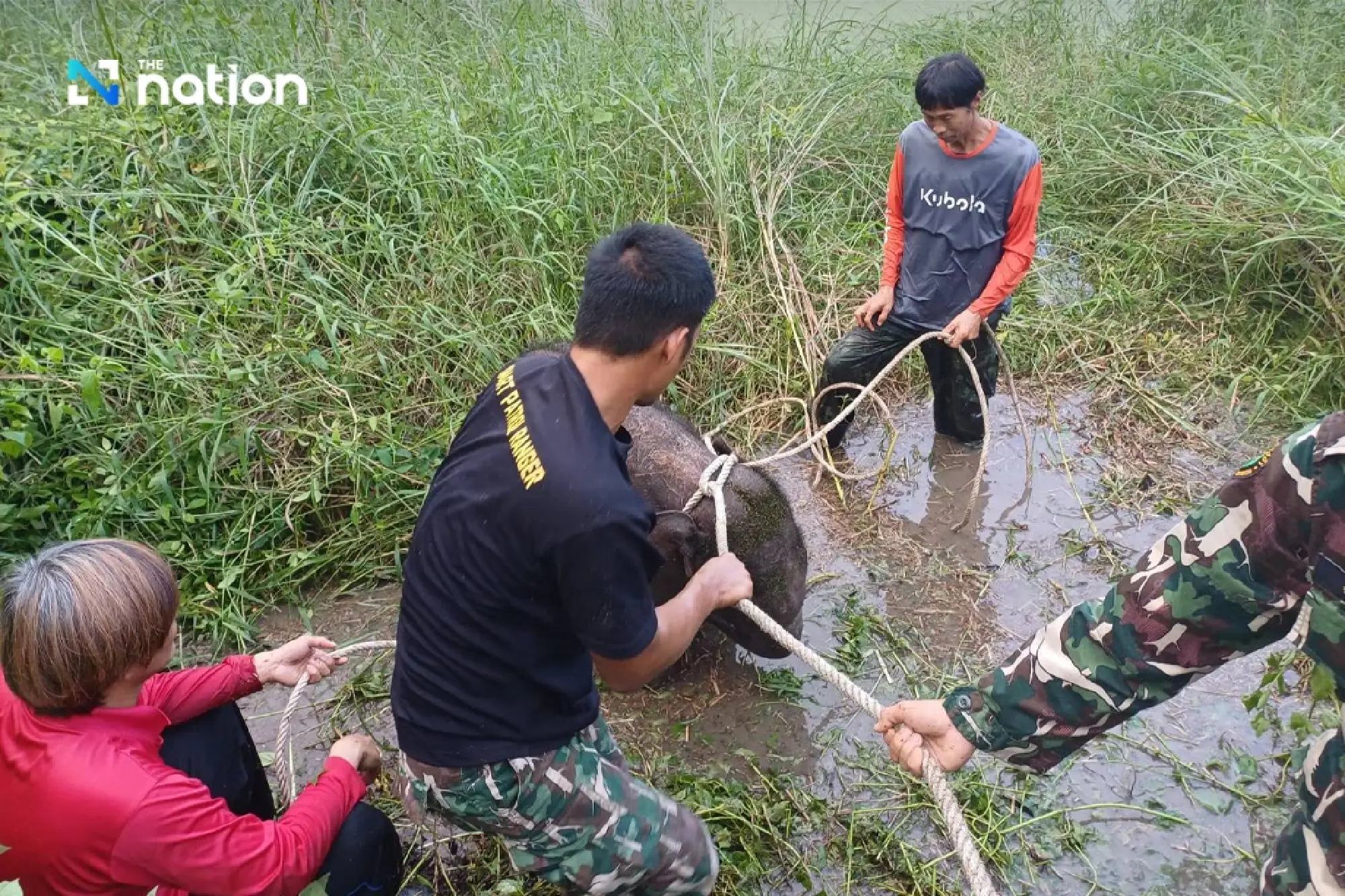 Lost baby elephant in Thai sanctuary rescued safely after five-day search