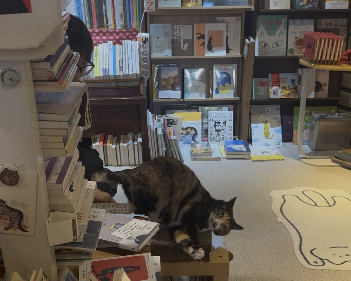 Seoul’s top spots for book lovers this fall