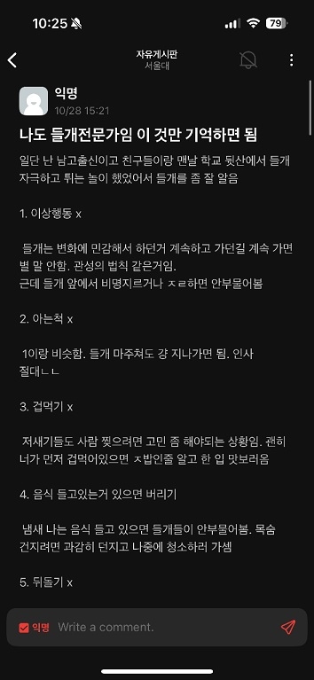 Fear spreads at Seoul National University as feral dogs roam campus