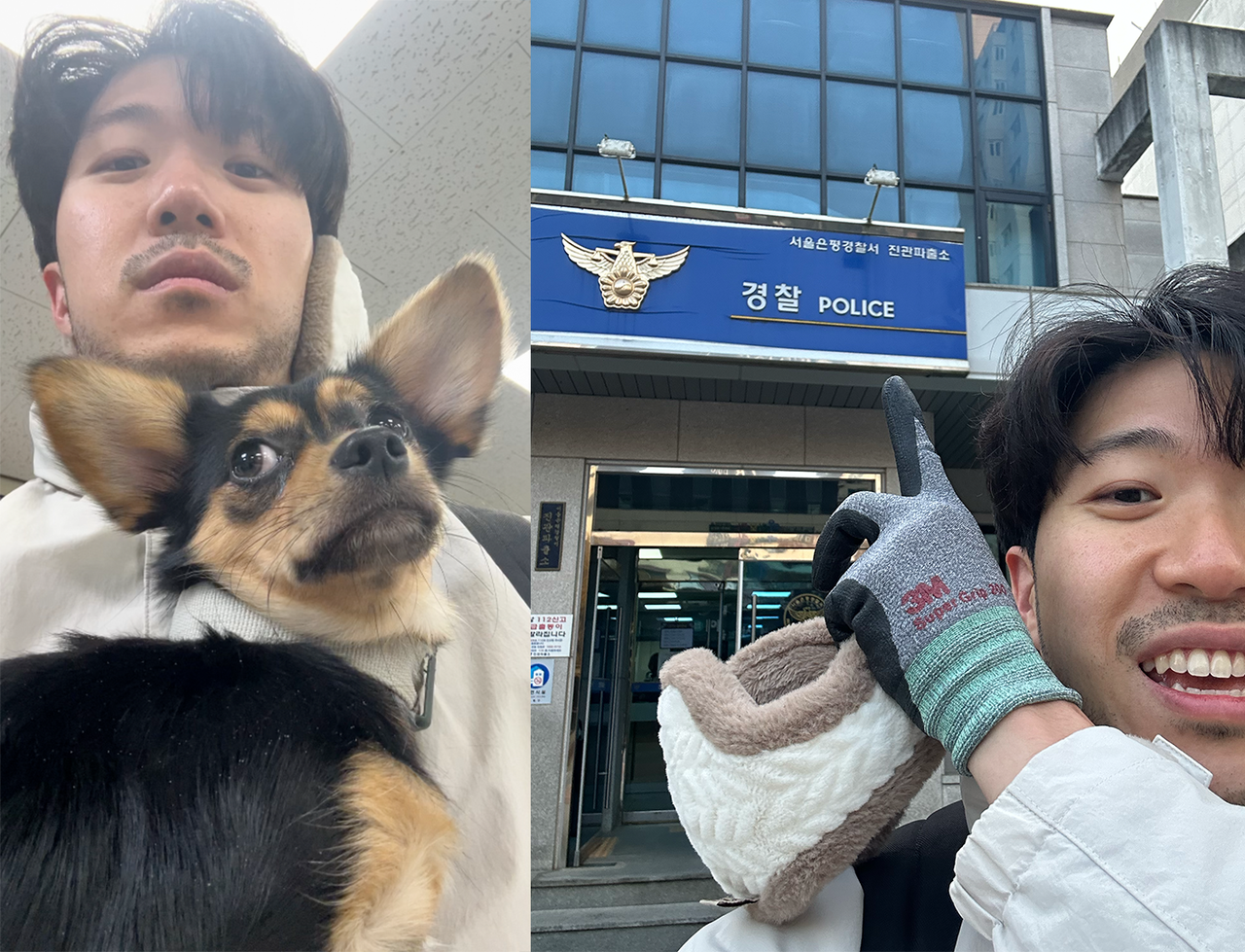 A dog on the loose – and a morning rescue in Seoul that became something more