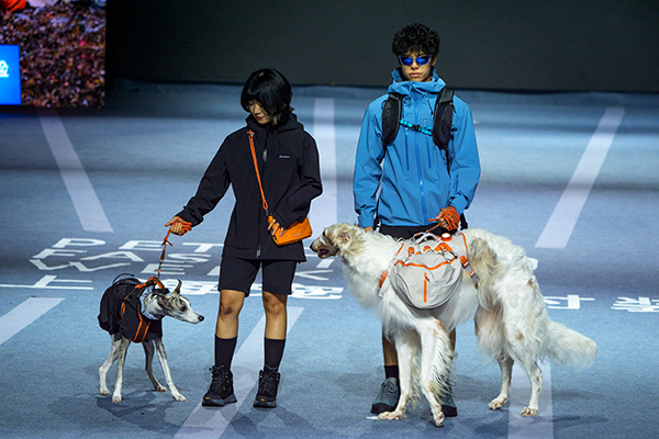 Dogs rule Shanghai’s catwalk with latest fashion