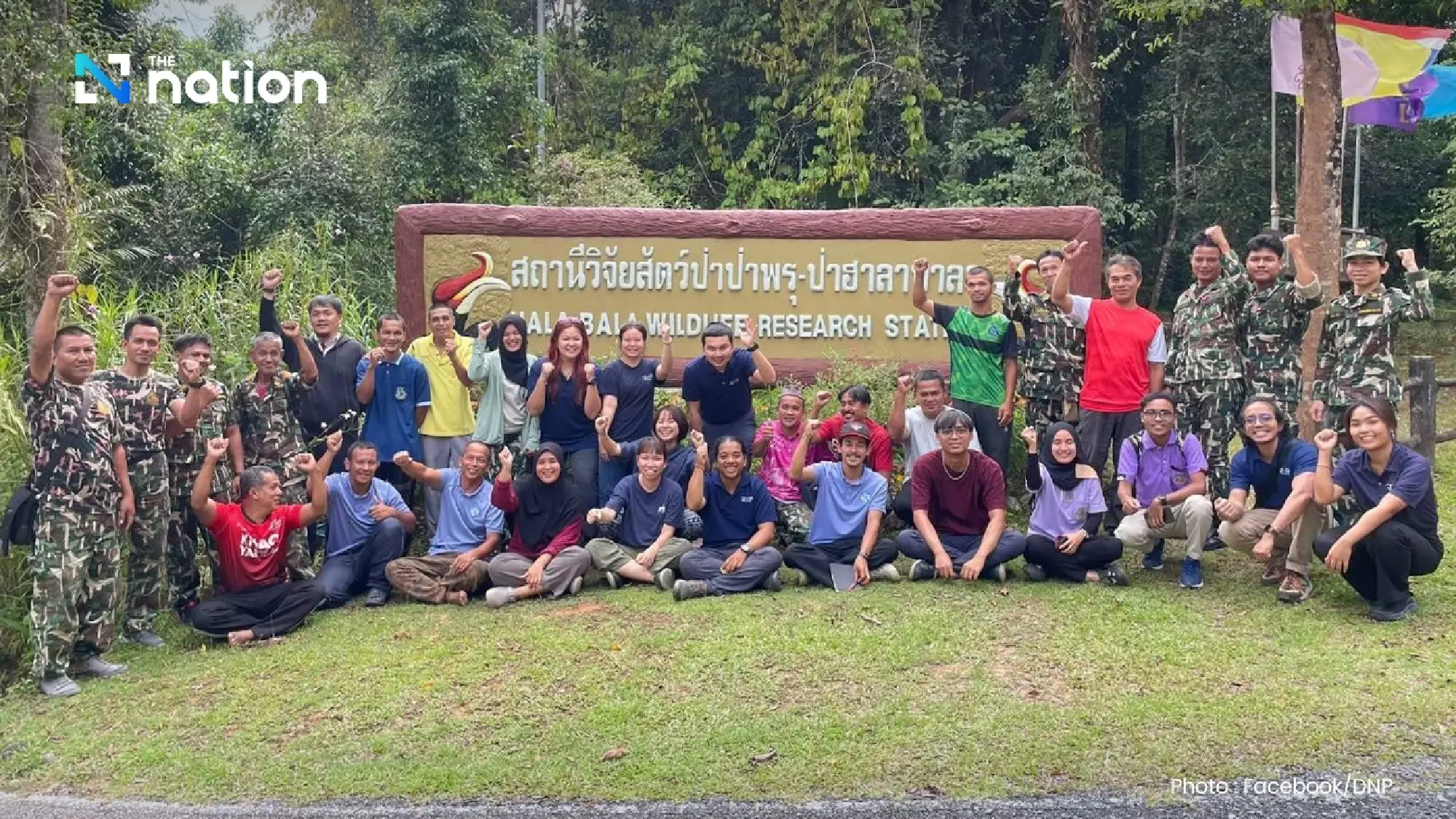 Elusive wild flat-headed cat rediscovered in Thailand