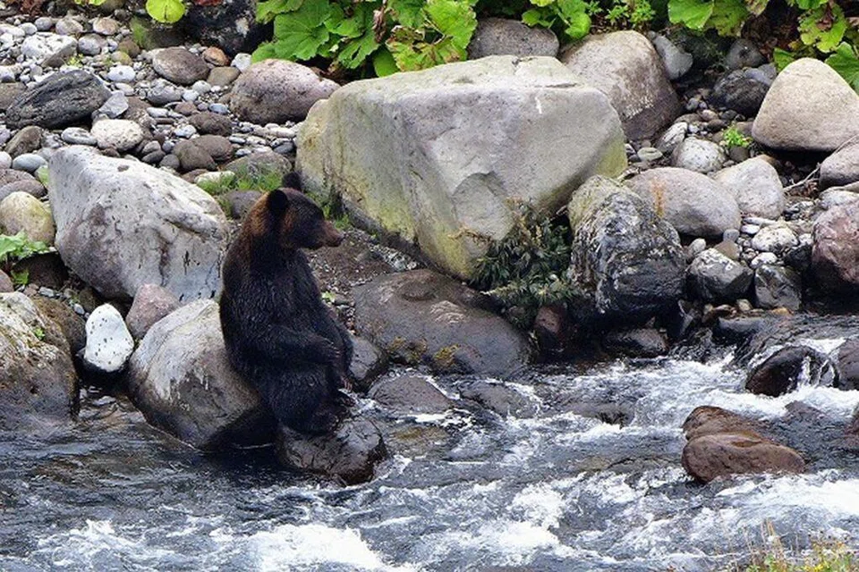 Wildlife welfare comes first, says Japanese award-winning photographer