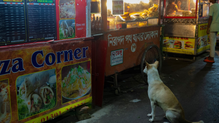 Do we care about animal cruelty? Bangladesh’s disturbing reality