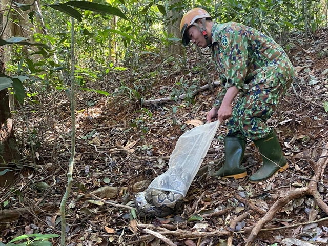 Eight rare animals released into the wild in Vietnam’s Dong Nai