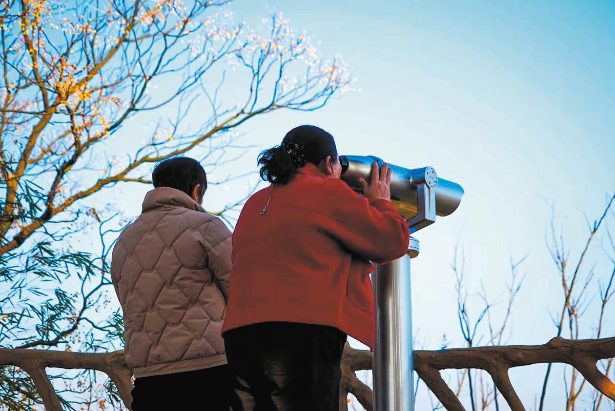 China’s restored wetlands welcome new flocks of migratory birds
