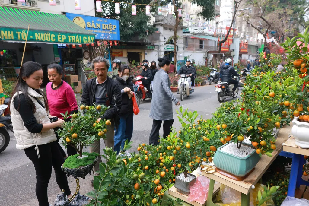 Bustling days at Hanoi flower market ahead of Vietnam’s Lunar New Year