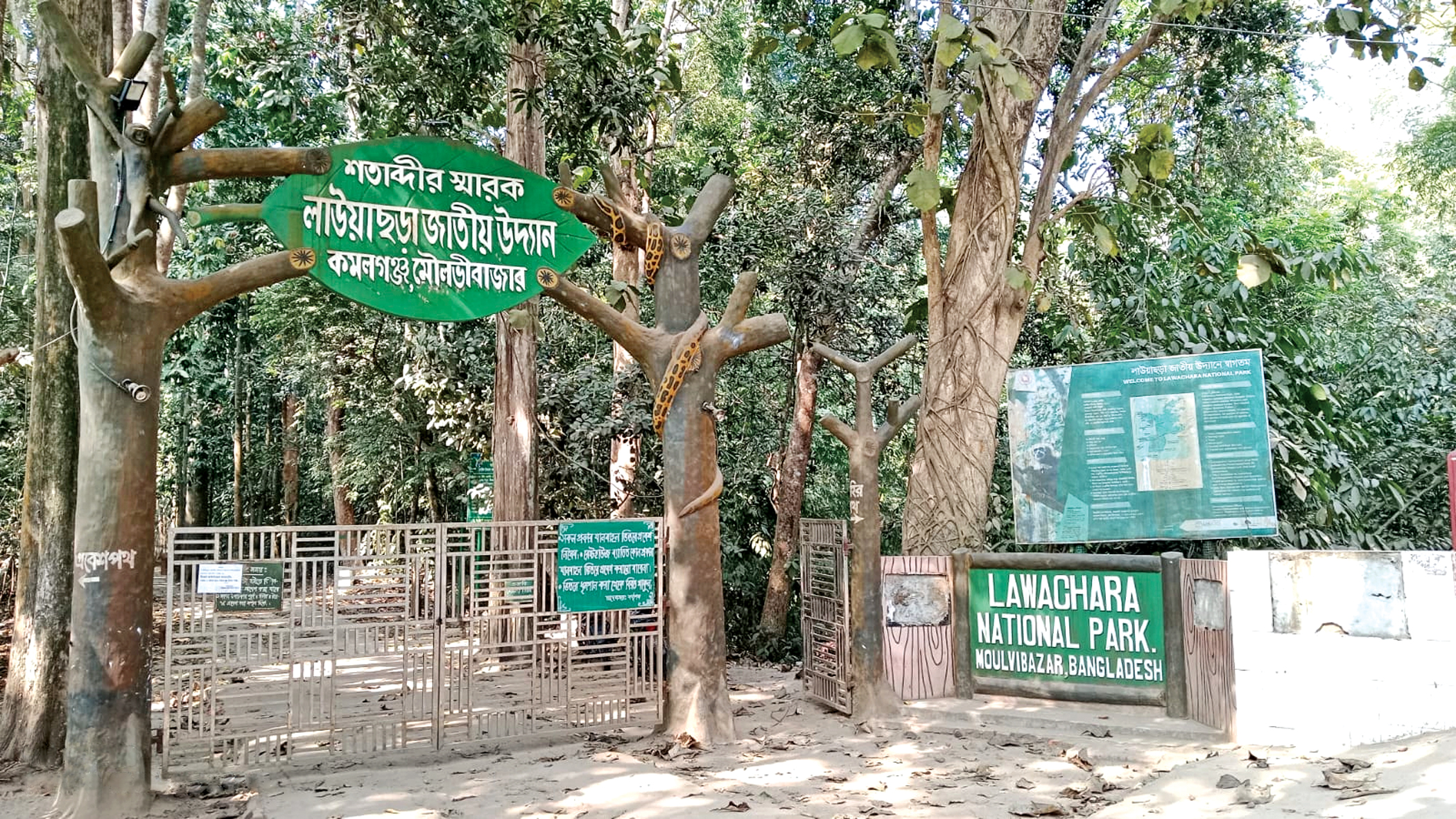 Inside Bangladesh’s Lawachara: Beauty thrives amid mounting threats
