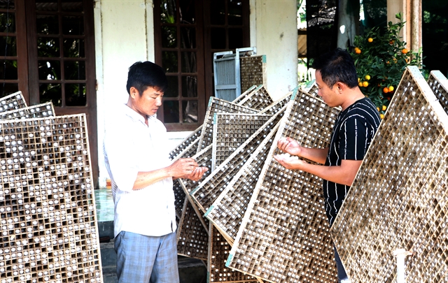 Young people revive fading traditional trades in Vietnam’s Quang Ngai