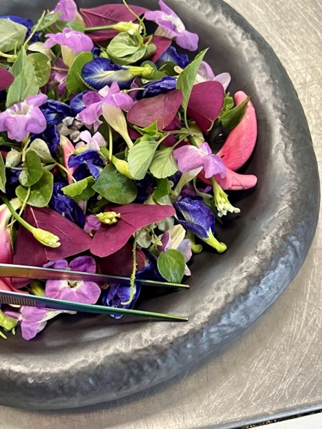 Eighteen years and counting: The chef who found his home in Cambodia