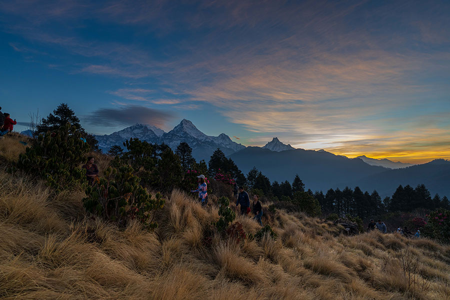 Where red forests bloom: Spring at Nepal’s Ghorepani and Poon Hill