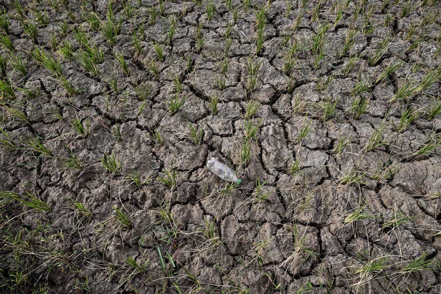 Drought grips parts of Indonesia’s Java as dry season intensifies – Asia News Network