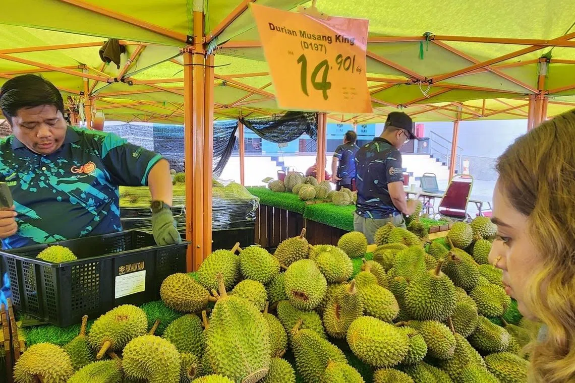 Too many durians, not enough buyers: Malaysia eyes new China land route to clear record supply gut