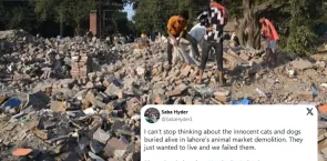 ‘They just wanted to live and we failed them’: Pakistani netizens furious after Lahore pet market demolished