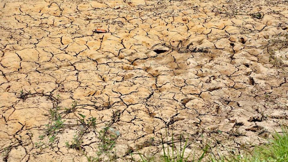 14_8_2024_extremely_dry_conditions_have_affected_more_than_300_hactares.jpg