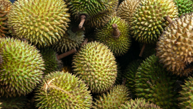 1st-Philippine-Asia-Durian-Summit-1536x838-1.png