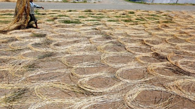 2019_02_18_65766_1550507388._large.jpg