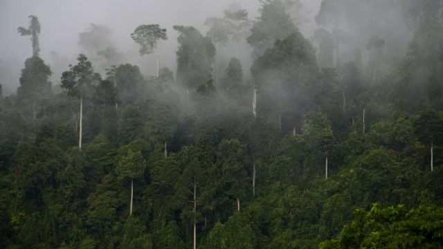 2021_03_21_111506_1616295739._large.jpg