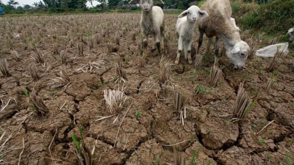 This Year's El Niño Looks Menacingly Familiar, Smart News