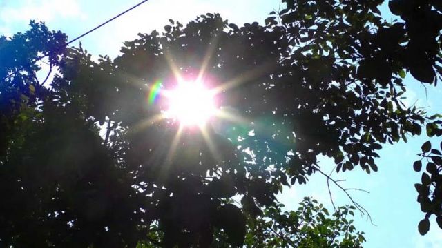 2024-05-16_083807.jpg