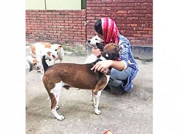 Looking out for strays: Dhaka’s young people unite to ensure animal rights