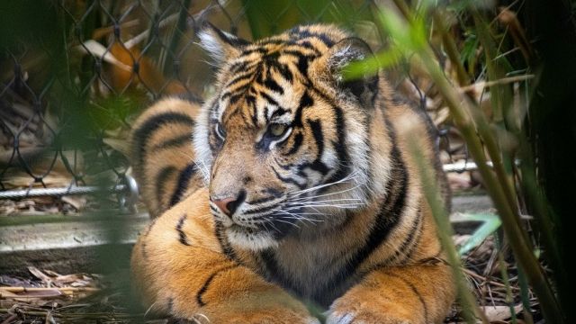 2024-09-16_124411.jpg