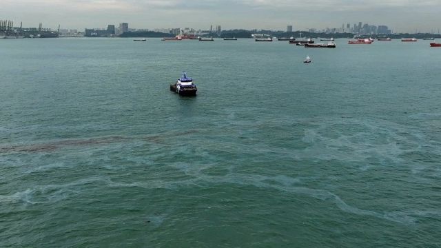 2024-10-21_082606.jpg