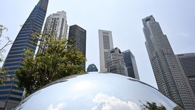 2024-11-12_114921.jpg