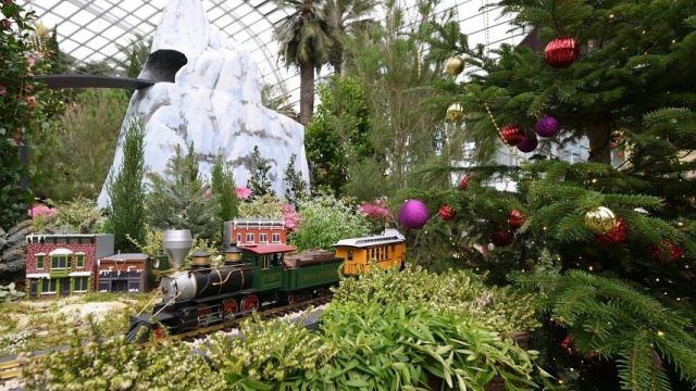 2024-12-03_121823.jpg