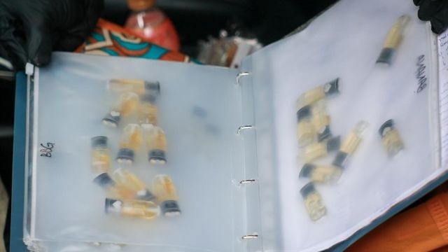 2025-07-22_092551.jpg