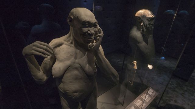 2025_09_28_166998_1759031927._large.jpg