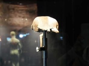 Home at last: ‘Java Man’ fossils anchor new National Museum of Indonesia exhibit