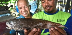 Rare deep sea fish caught with rod and line