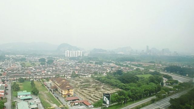 2315575.jpg