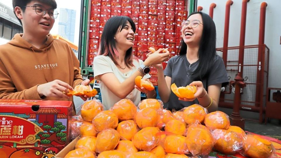 Mandarin oranges for Chinese New Year more ap-peel-ing thanks to fruitful  harvest season - Asia News NetworkAsia News Network