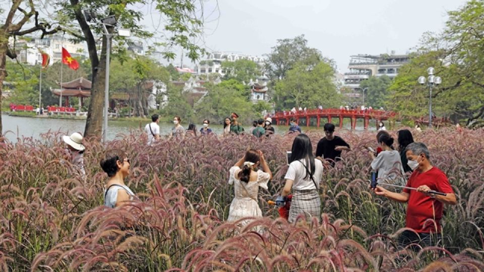 248338_4366133438035030_tourists.jpg