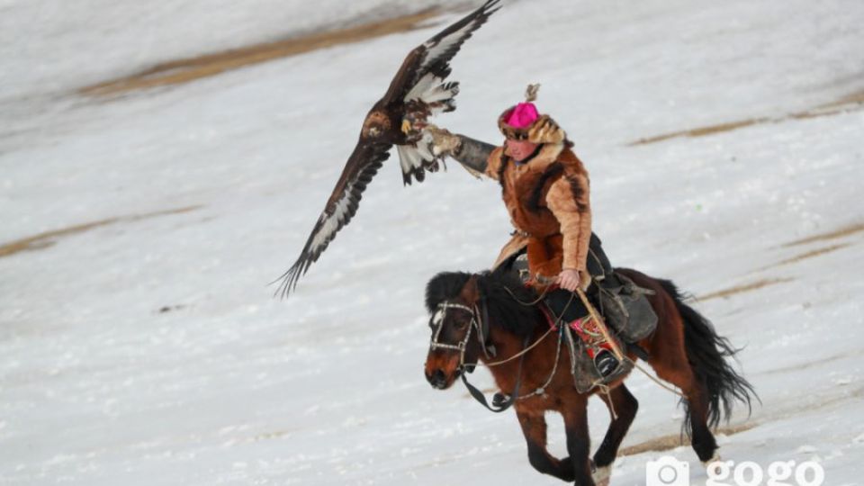 25022025-1740468327-2097266006-burged_burgediinbayar_burgediinbayr_mori_kazak_-63-201726-16983509751.jpeg