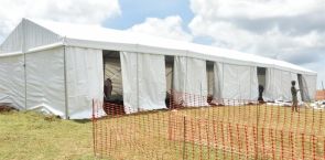 Health ministry urges prevention of deadly Marburg virus from entering Viet Nam