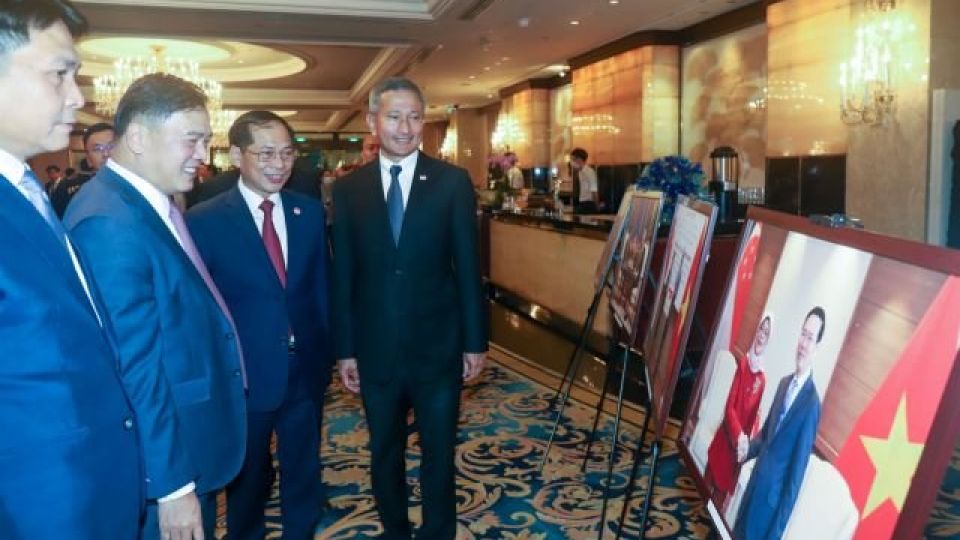 295118_4589106081020166_vna_potal_ky_niem_50_nam_quan_he_ngoai_giao_va_10_nam_quan_he_dtcl_viet_nam-singapore_6837226.jpg