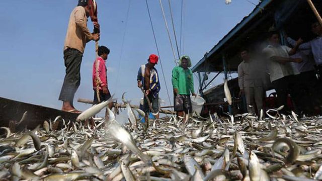 29_11_2023_The-agriculture-ministry-celebrated-World-Fishery-Day-on-November-21.-MAFF.jpg