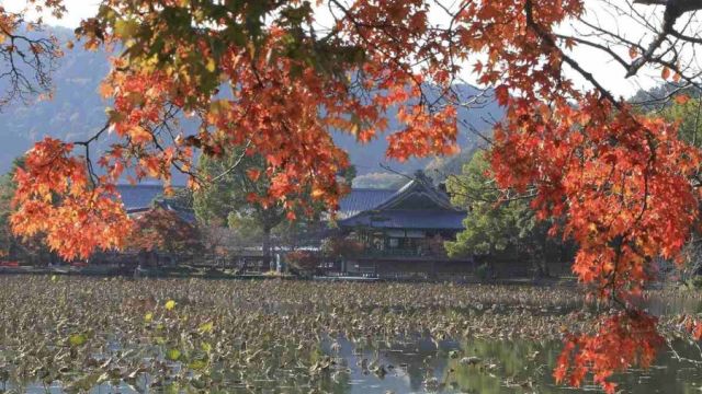 3-Daikakuji-Temple.jpg