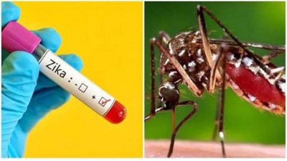 3-more-cases-of-Zika-virus-found-in-Kanpur.jpg