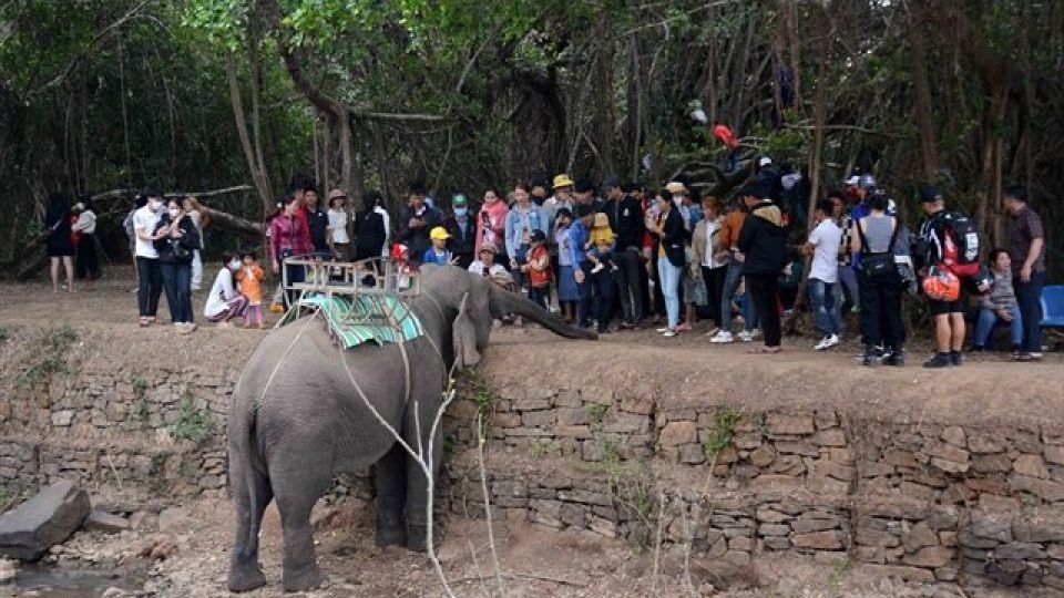 303348_4630001214469186_vna_potal_dak_lak_dung_hoat_dong_kinh_doanh_dich_vu_cuoi_voi_tai_trung_tam_du_lich_cau_treo_buon_don_6576433.jpg